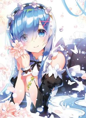 蕾姆 动漫世界中的深情守护者